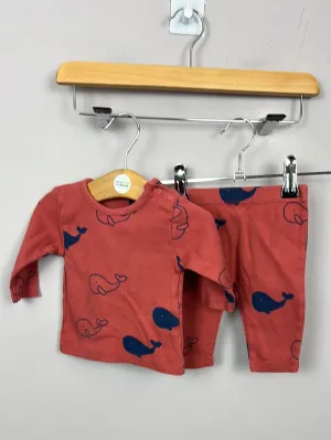 1m M&S ribbed whale coord set