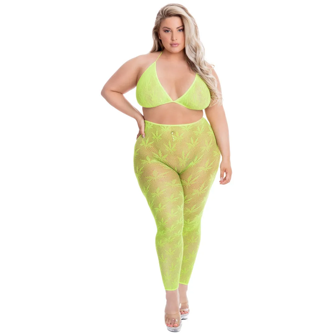 All About Leaf Bra Set