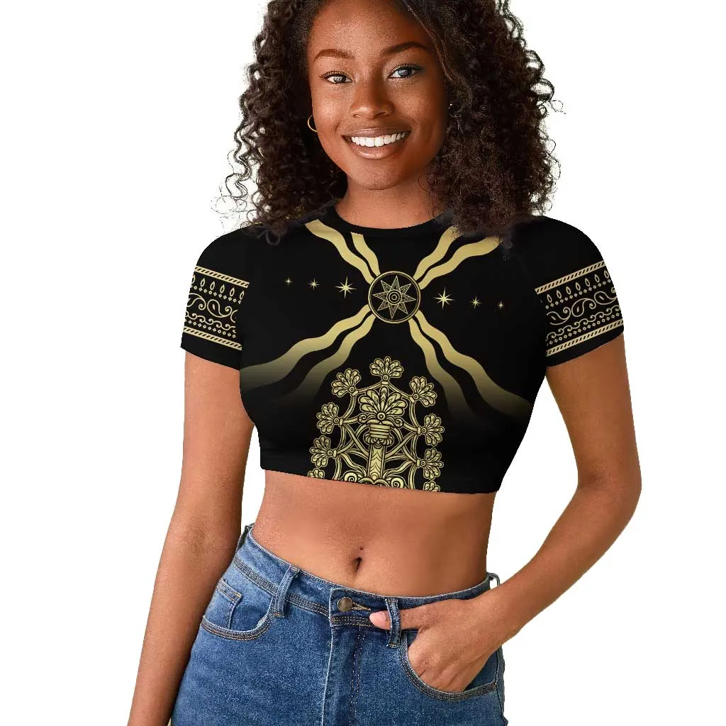 Assyria Empire Raglan Cropped T shirt Assyrian Mythological Spirit LT01