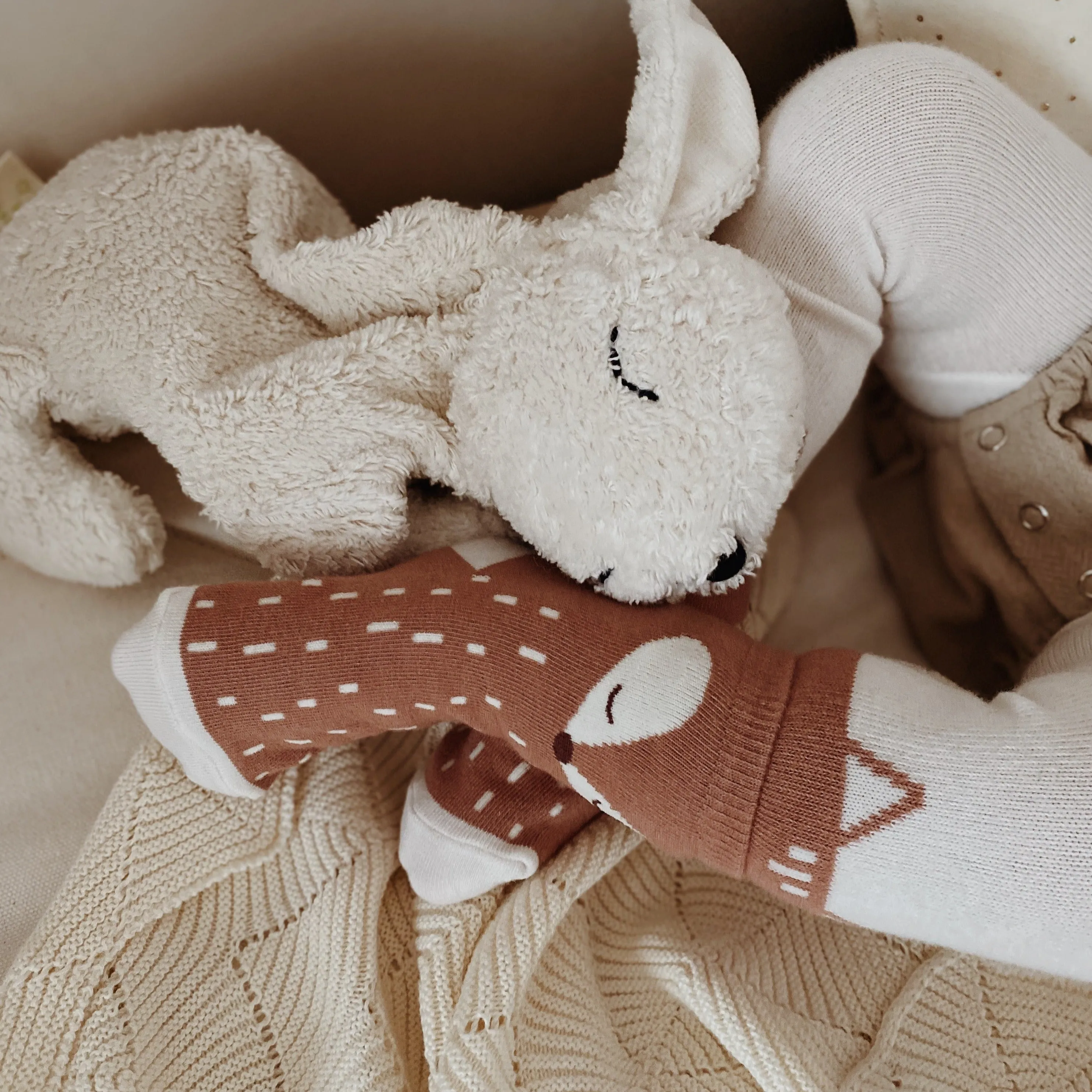 Bebe Fox Leggings   Socks Set