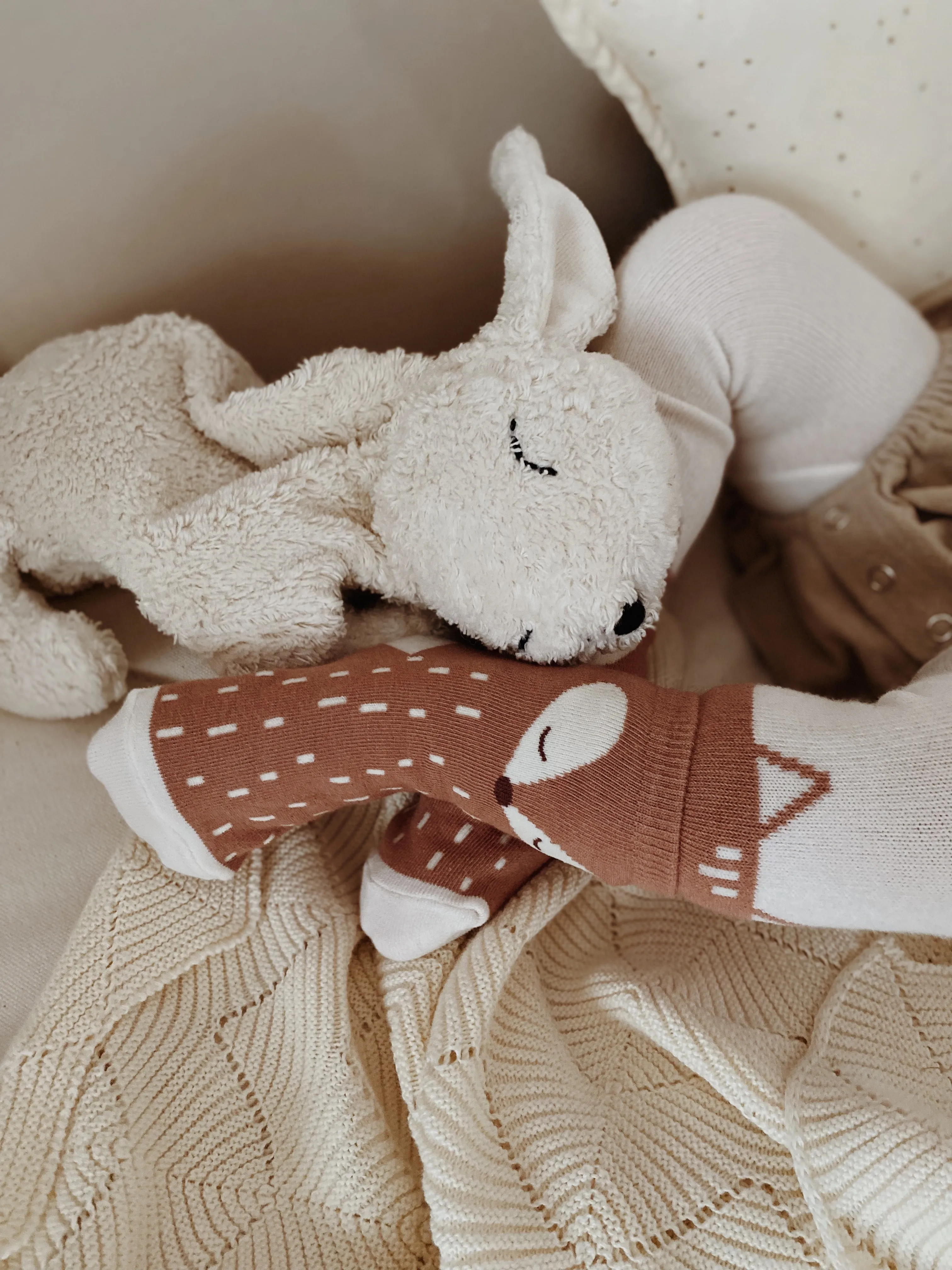 Bebe Fox Leggings   Socks Set