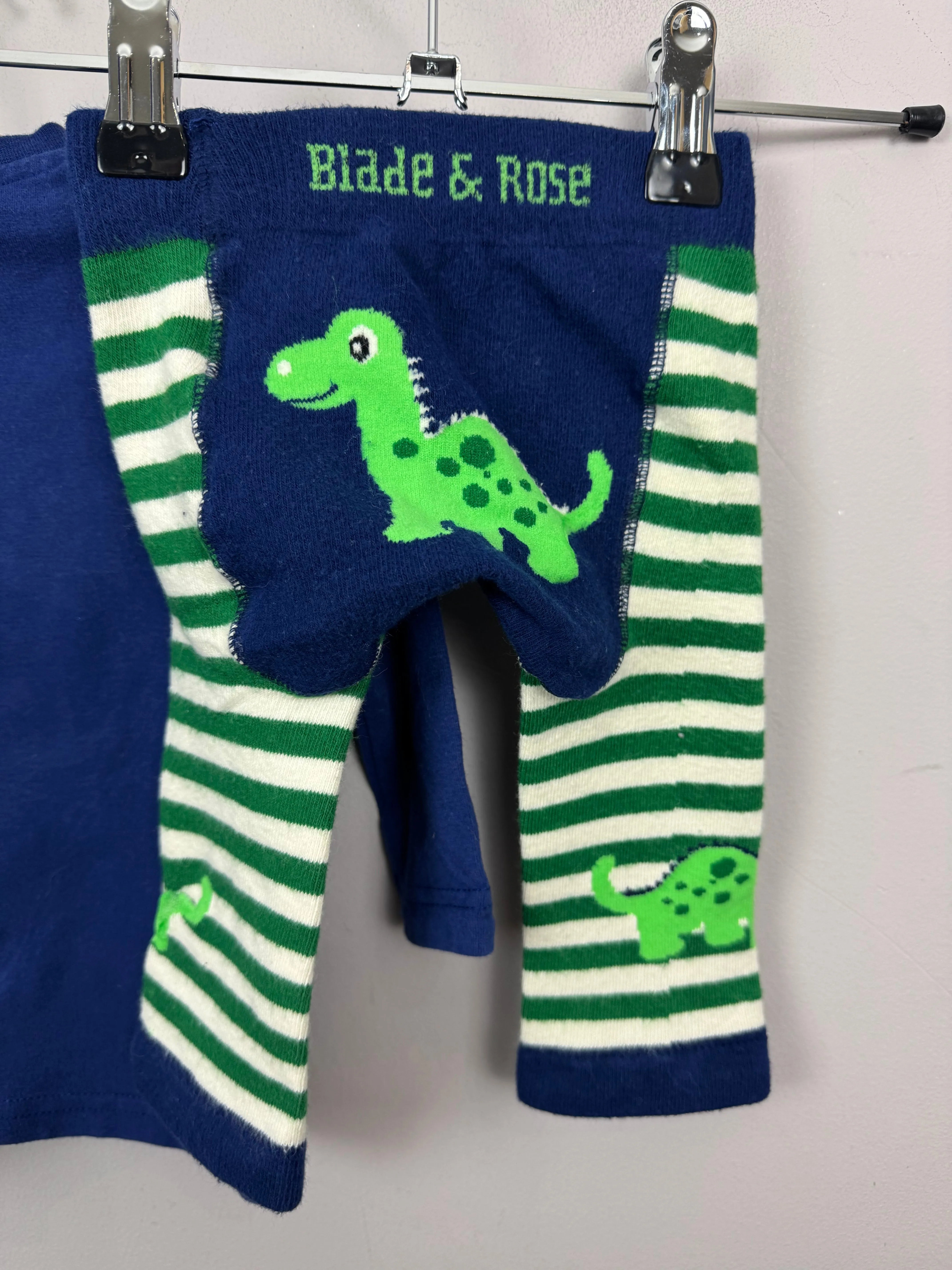 Blade & Rose Dinosaur T-shirt set 0-6m