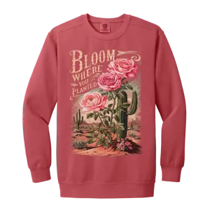 Bloom Where You Are Planted Sweatshirt – Comfort Colors | Cactus Graphic Crewneck | Inspirational Positive Apparel