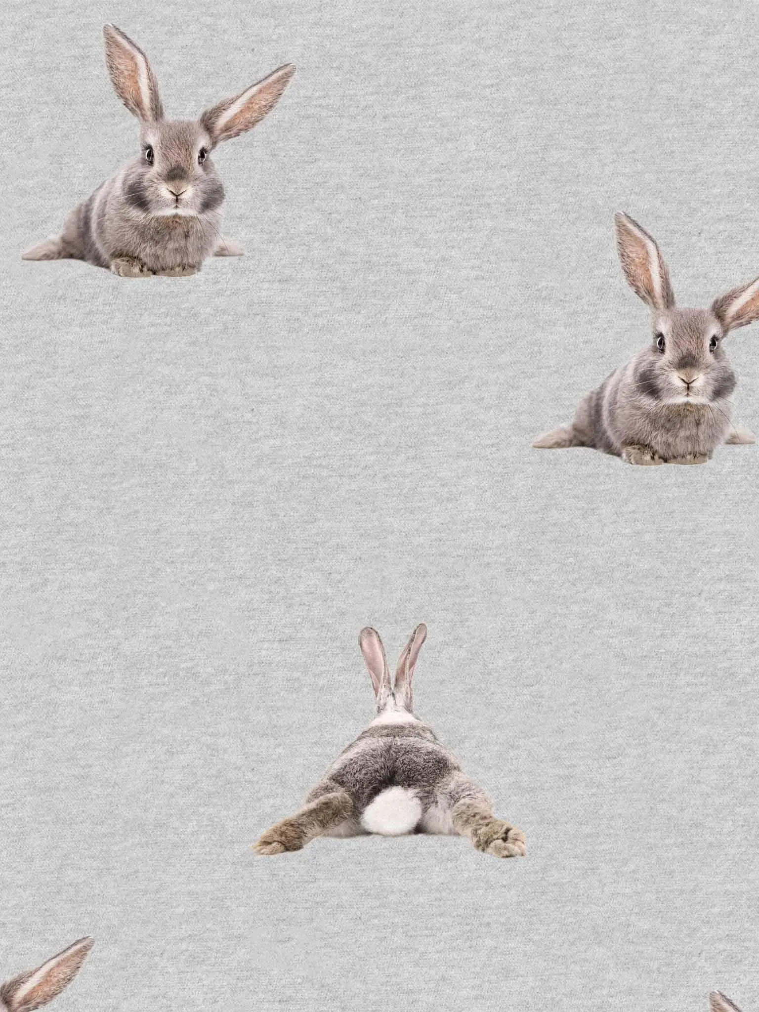 Bunny Bums Legging Dames