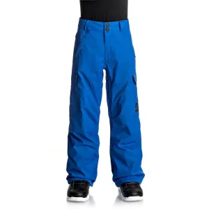 DC Banshee Boys Snow Pants