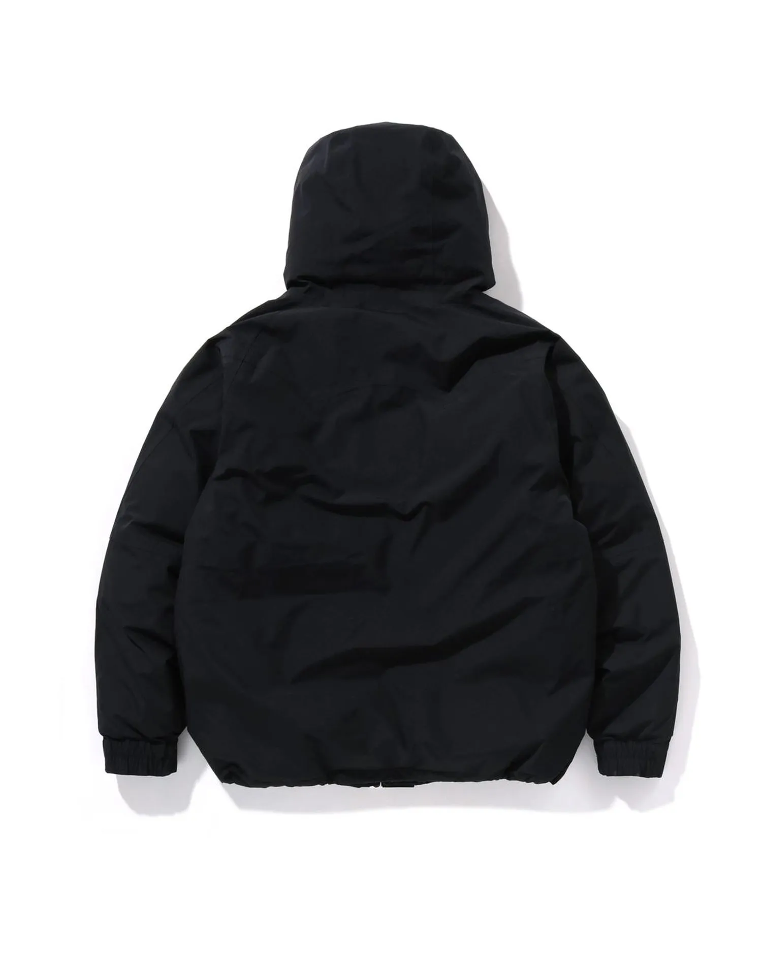 Gore-Tex Snowboard Down Jacket