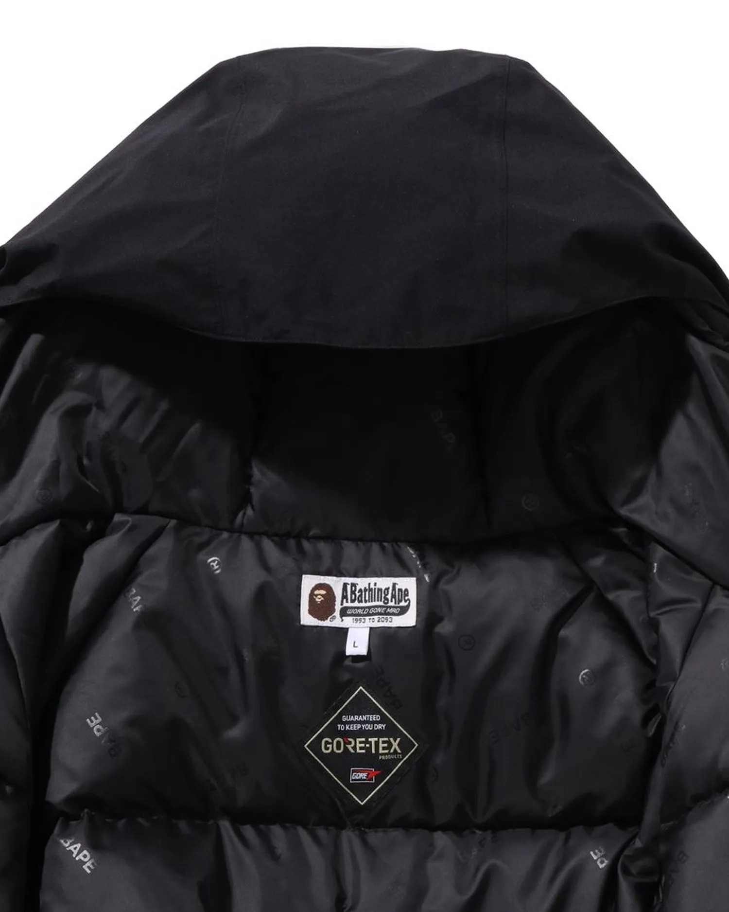 Gore-Tex Snowboard Down Jacket