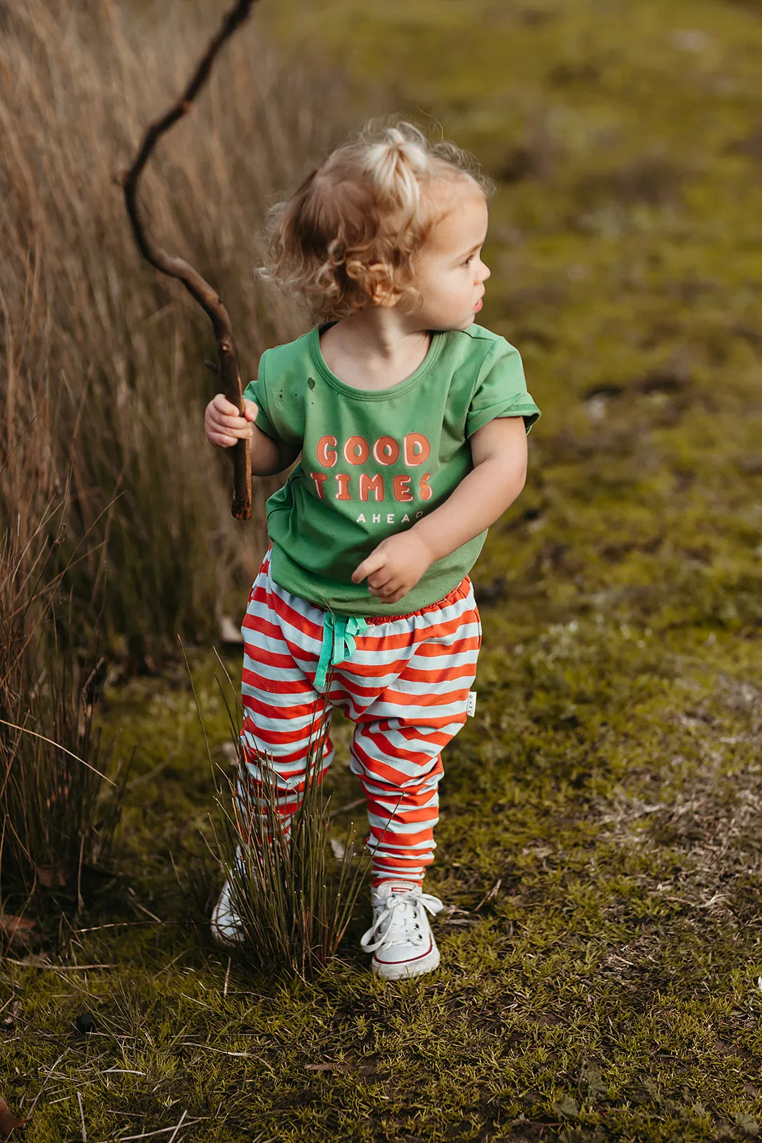 HORIZON STRIPE HAREM PANTS