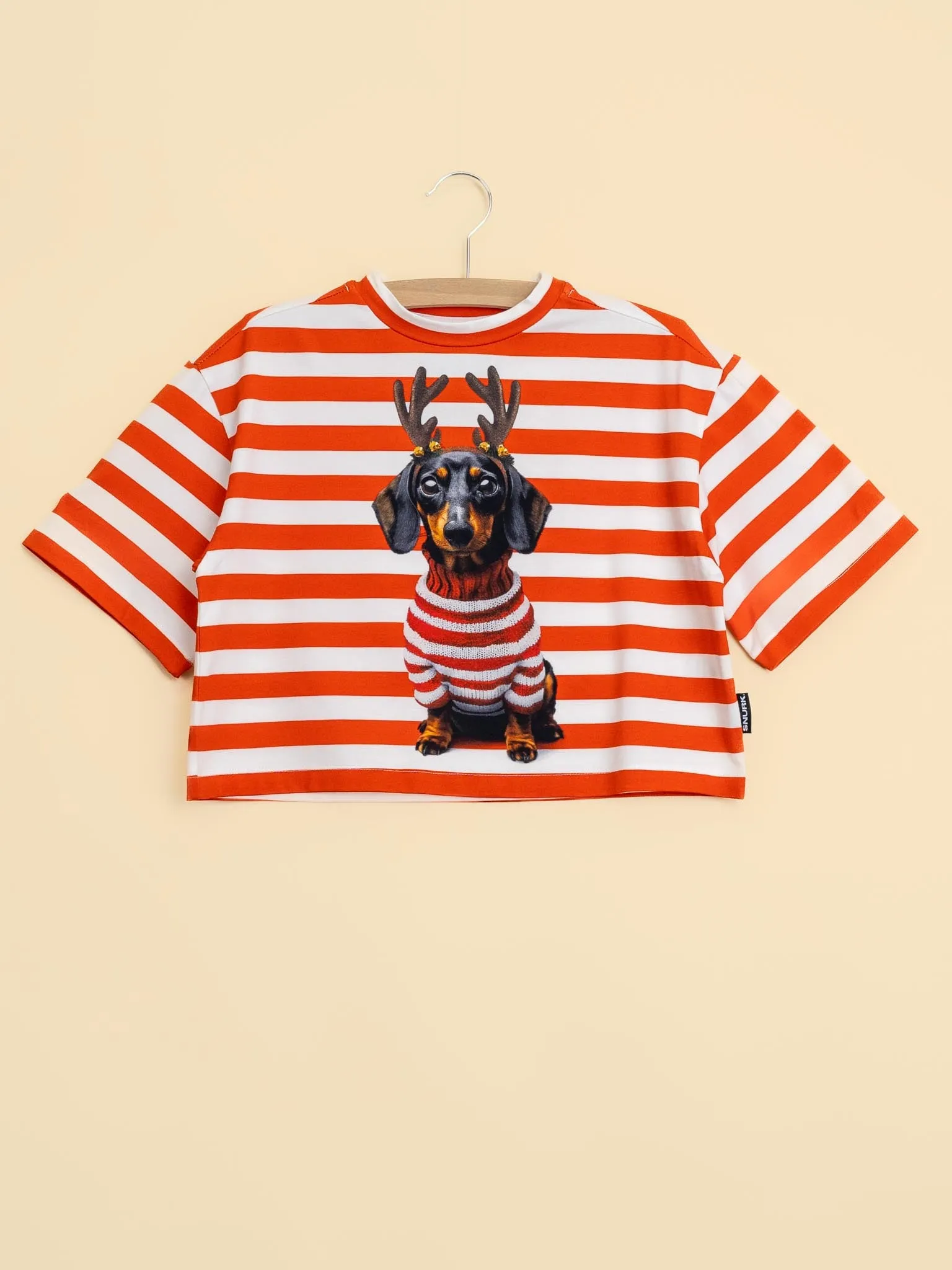 Pierre Xmas Cropped T-Shirt Kids